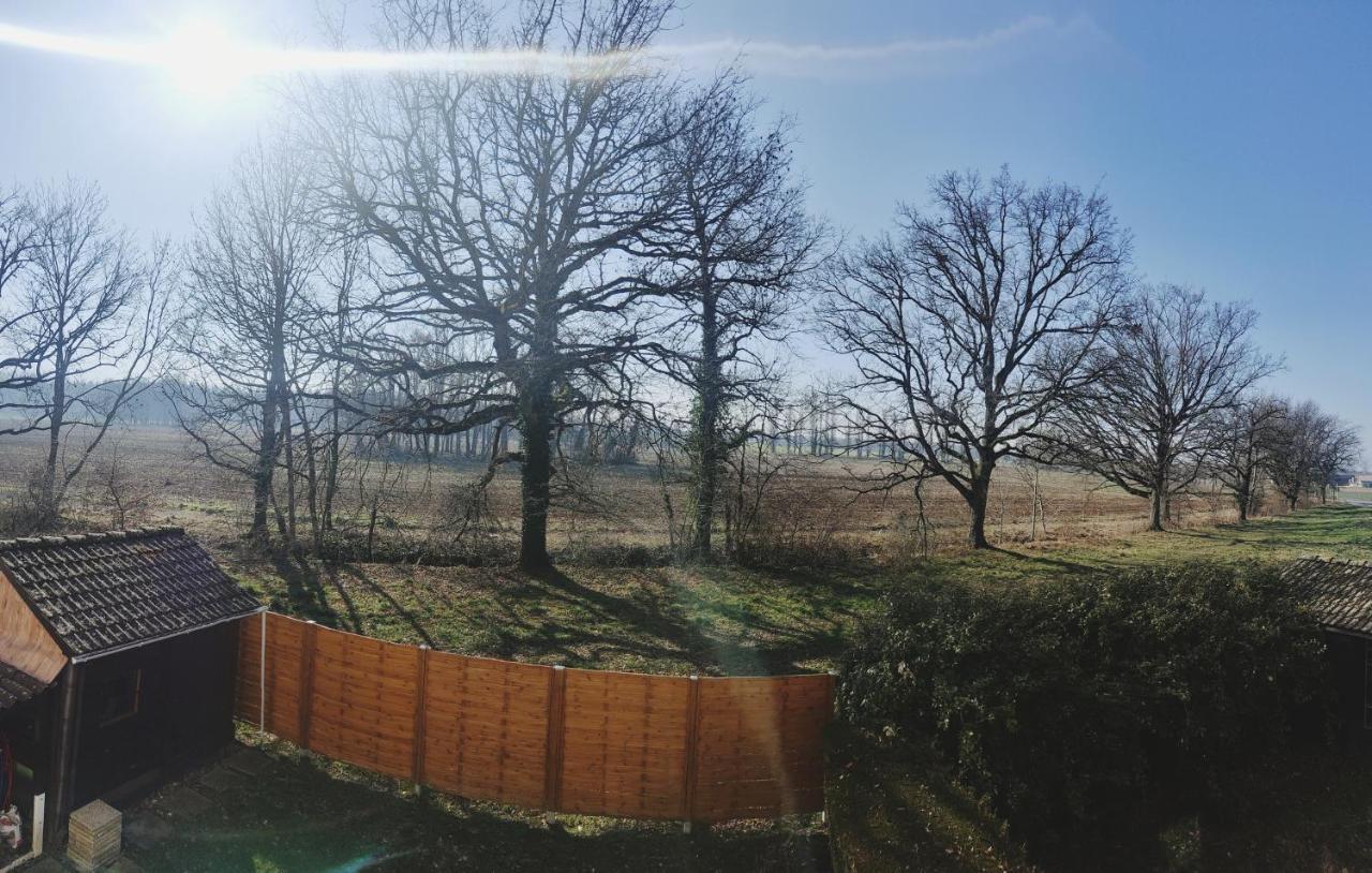 Beau Duplex Familial Avec Jardin Cloture Lejlighed Douvaine Eksteriør billede